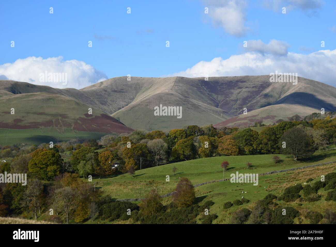 Blick auf den Yorkshire Dales National Park Stockfoto
