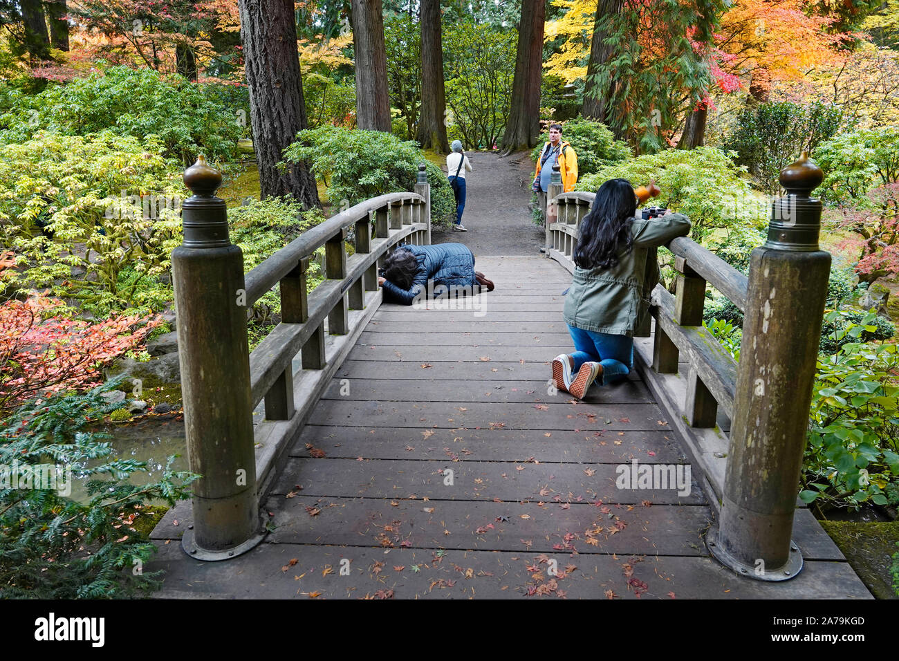 Fotografen Fotografieren der Ahorn Bäume und andere exotische Laubbäume Gelb und Rot in der weltberühmten japanischen Gärten in Portland Stockfoto