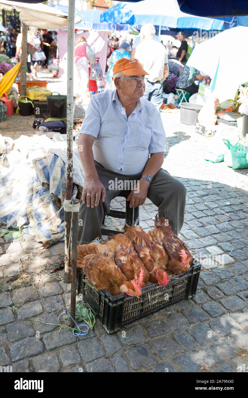 Lebende Hühner auf Verkauf am Donnerstag Markt, Barcelos, Portugal Stockfoto