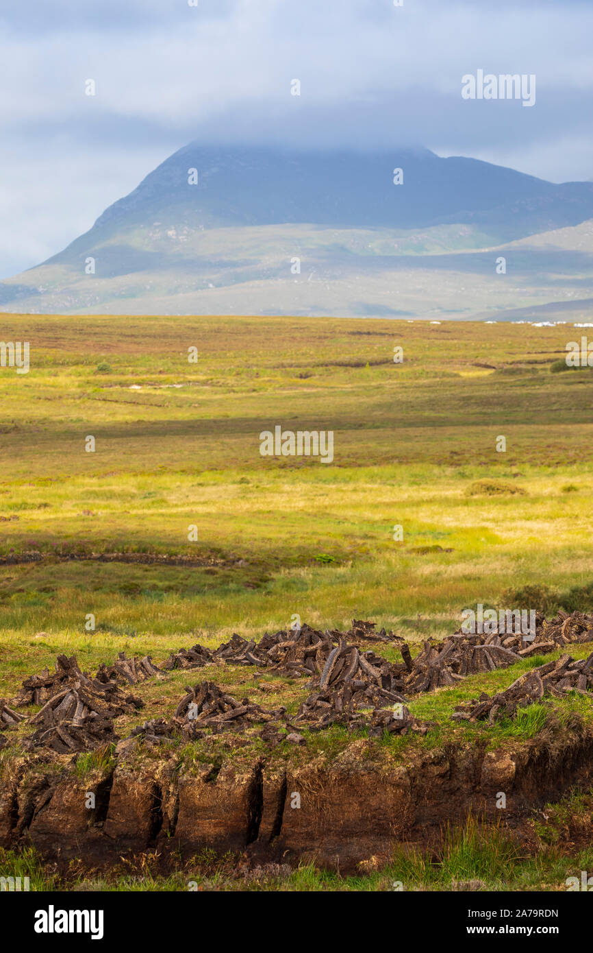 Rasen Irland bog Stockfoto