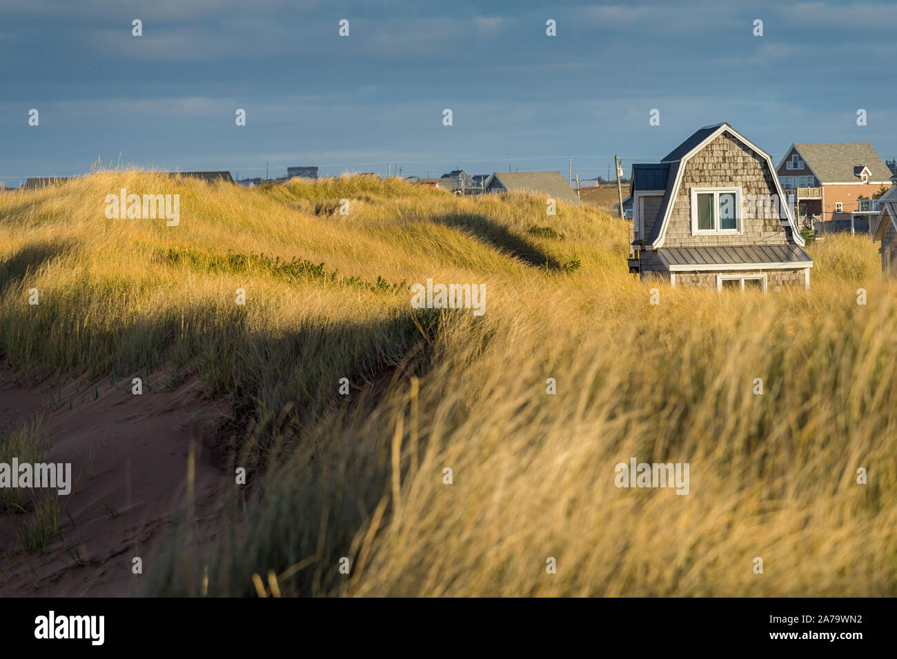 Kleine Häuschen inmitten der Sanddünen am Strand. Stockfoto