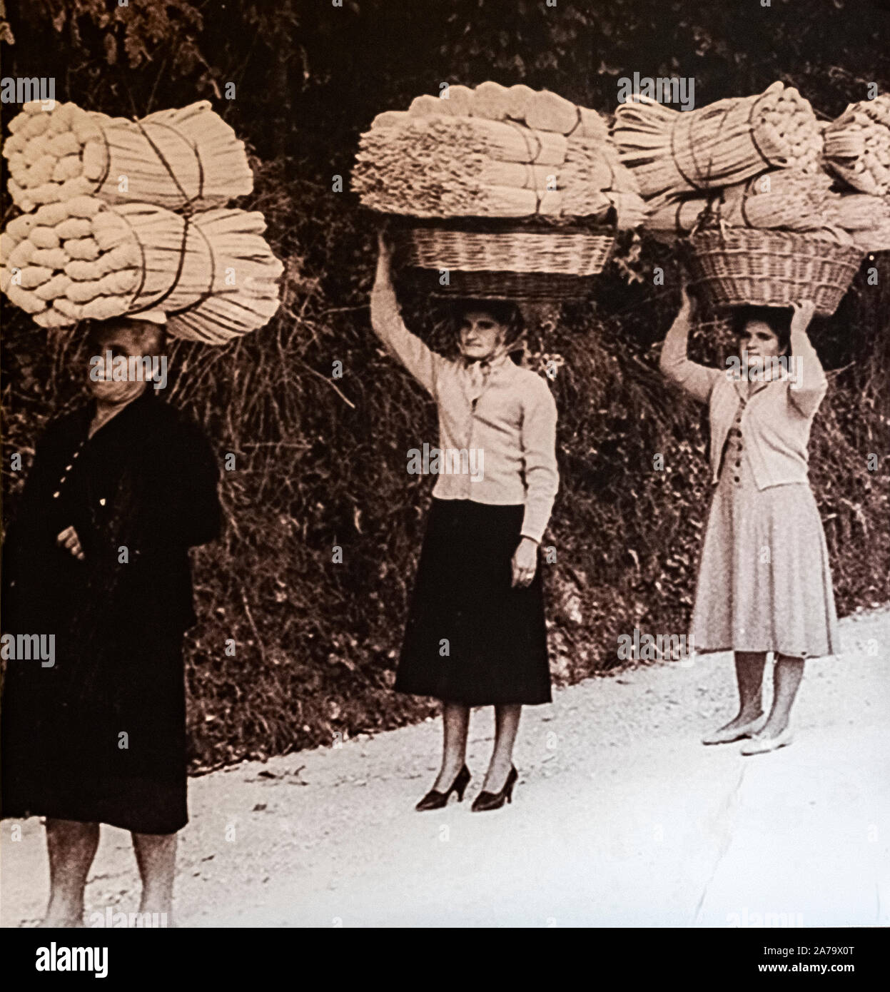 Marken - Montappone - Museo Del Cappello foto Antica 1900 Donne portano a vendere Le trecce Di Paglia Al Mercato - | Italien Marken Montappone-hat-Museum - alte Foto Antik Foto 1900 Frauen führen Stroh Flechten auf den Markt zu bringen. Stockfoto