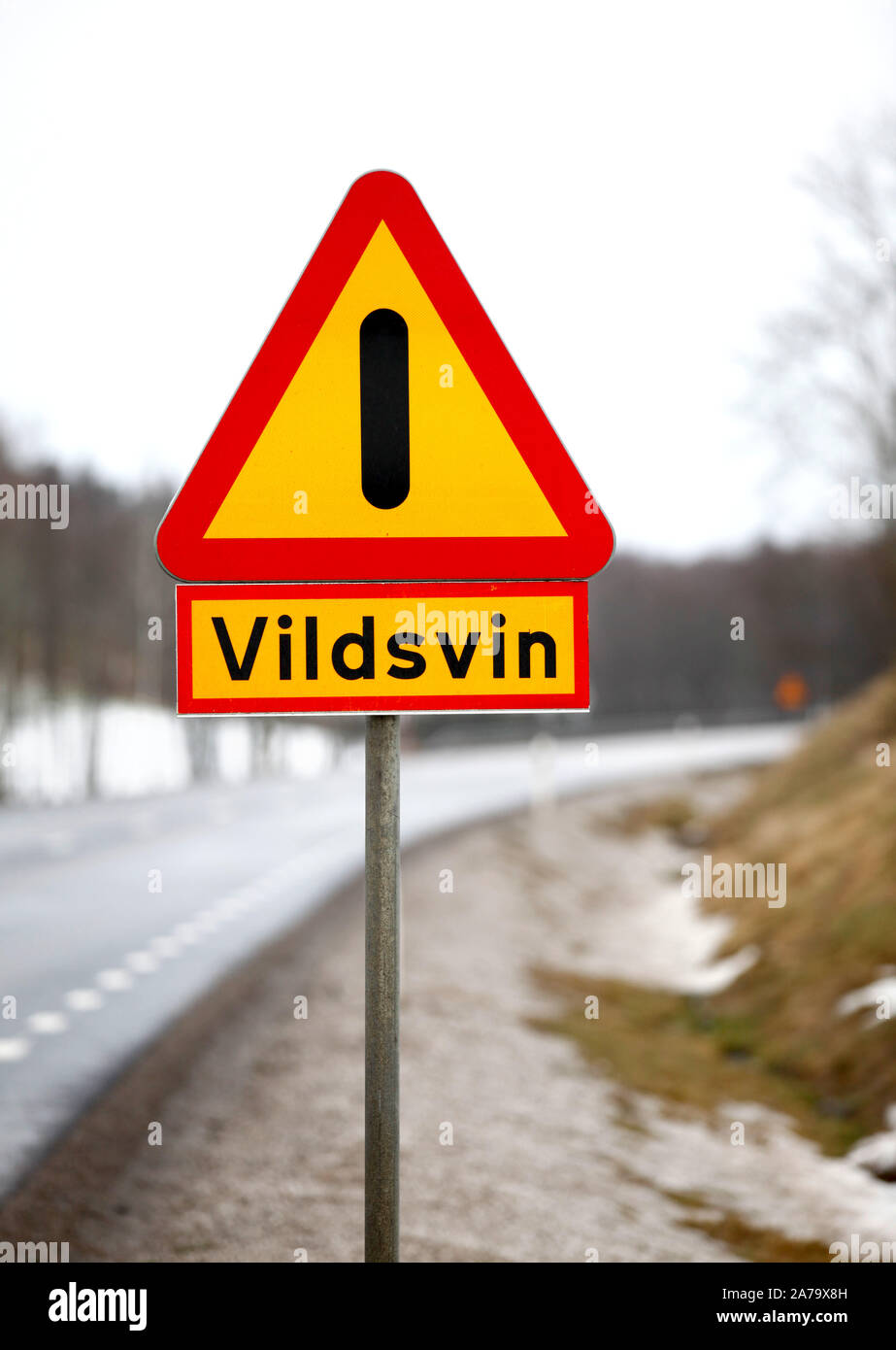Wildschwein Warnzeichen durch eine Straße. Foto Jeppe Gustafsson Stockfoto