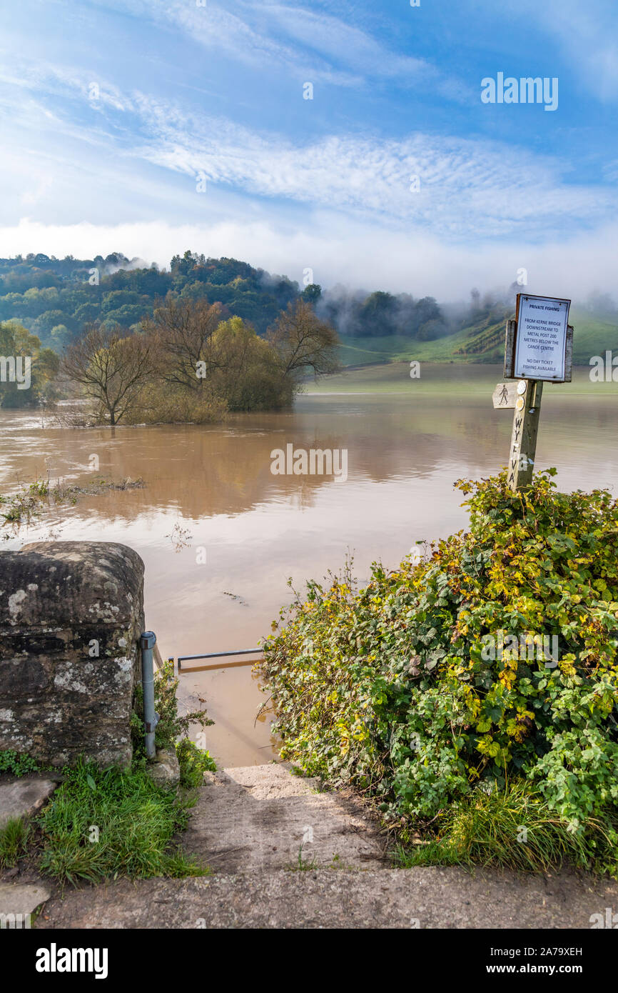 Das Wye Valley zu Fuß langen Fußweg unterhalb der schlammigen, sandiges Wasser des Flusses Wye in der Flut am 28.10.2019 bei Kerne Brücke, Hereford versenkt Stockfoto