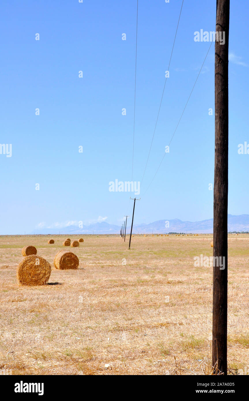 Heuballen auf dem Feld nach der Ernte, in der Mitte von Zypern Stockfoto