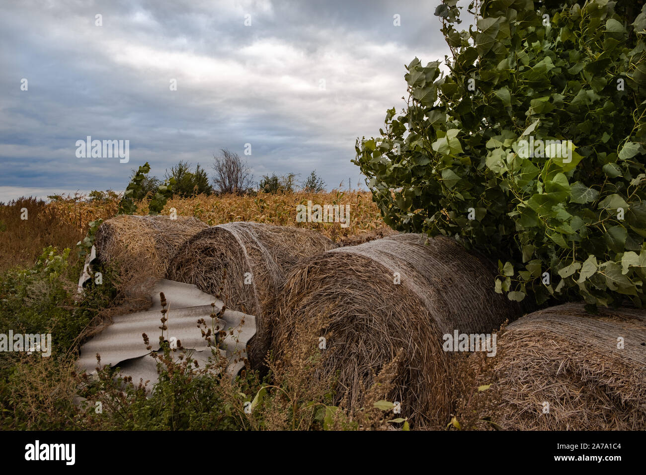 Bunte Herbst Landschaft. Stockfoto