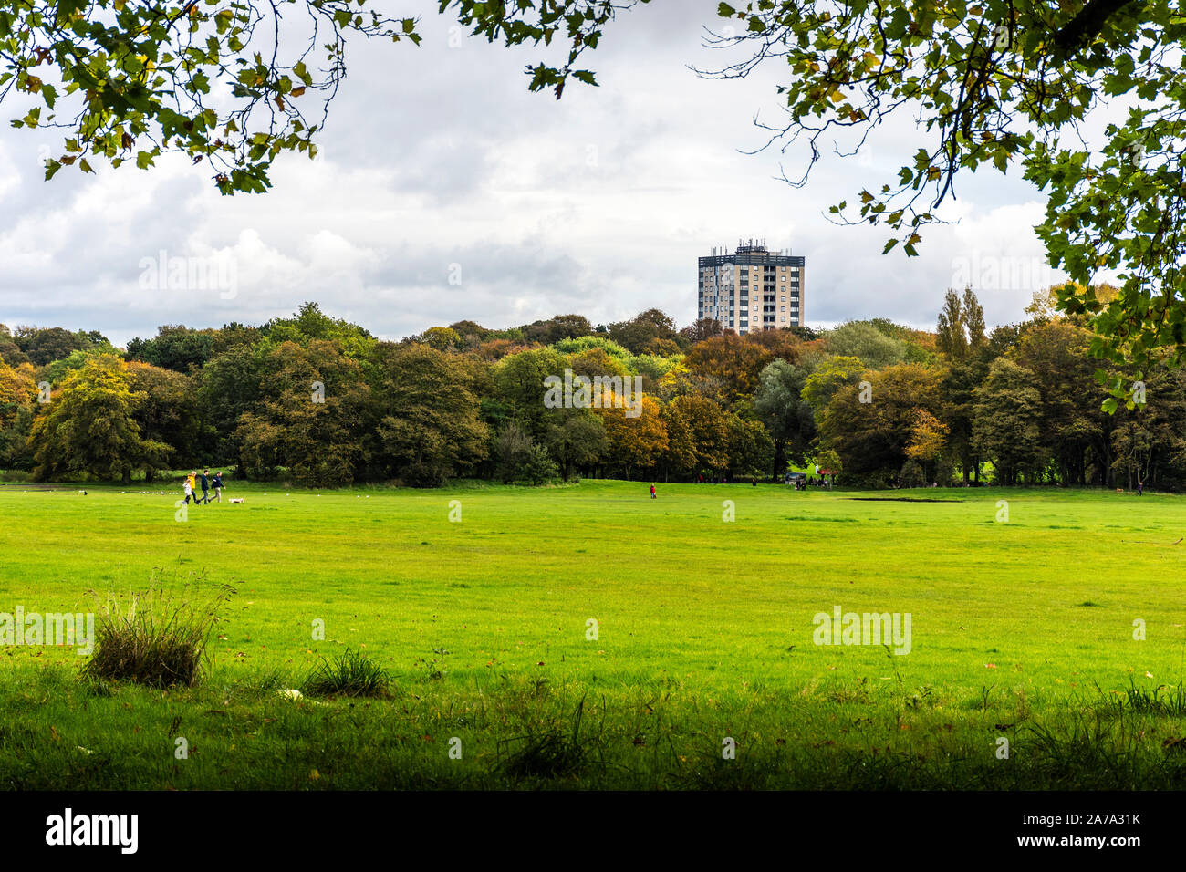Sefton Park, Menschen zu Fuß Hunde, Liverpool, England, UK Stockfoto