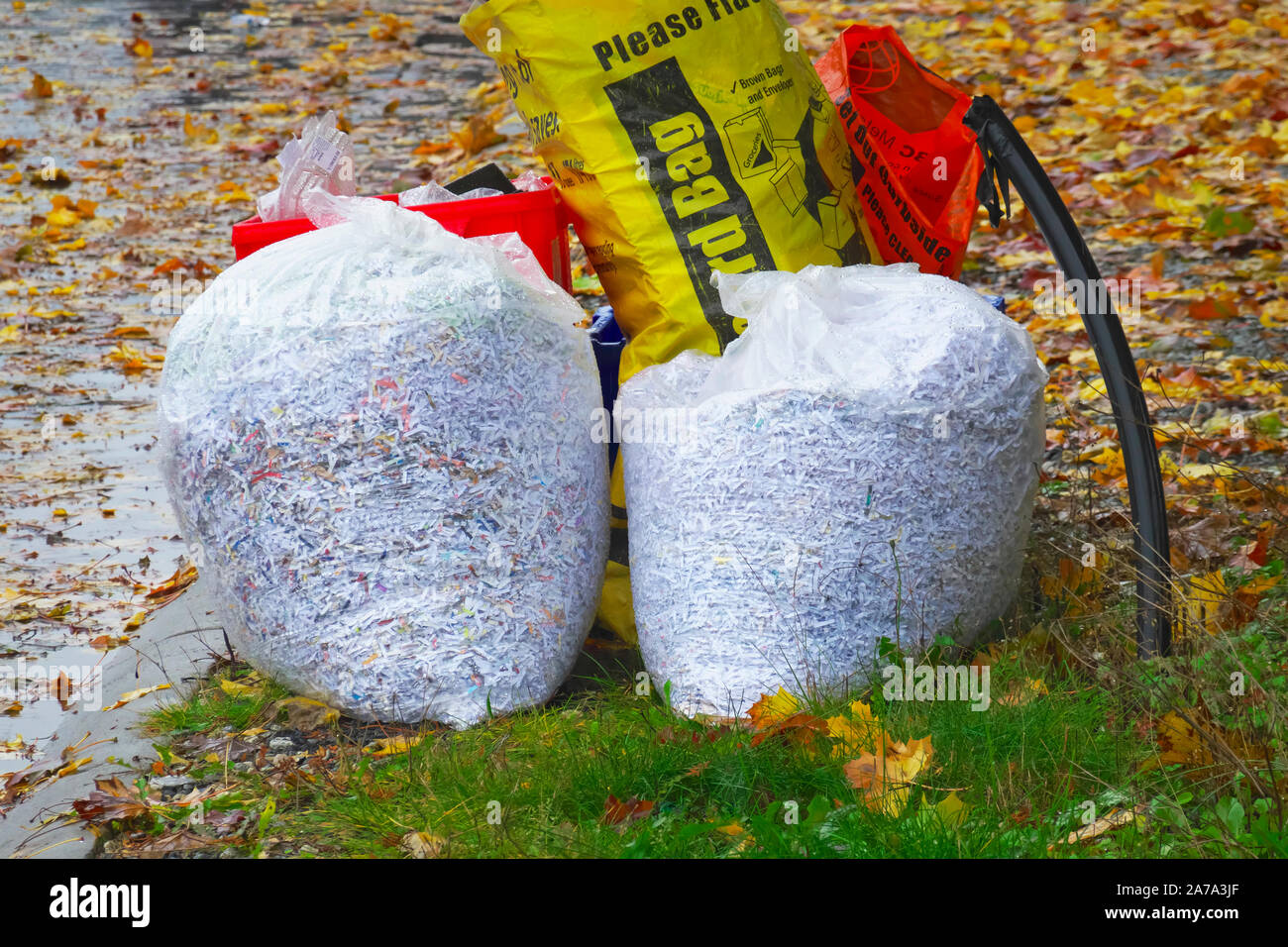 Zerfetztes Papier in klare Plastiktüten für Recycling Pickup an der Bordsteinkante. Stockfoto