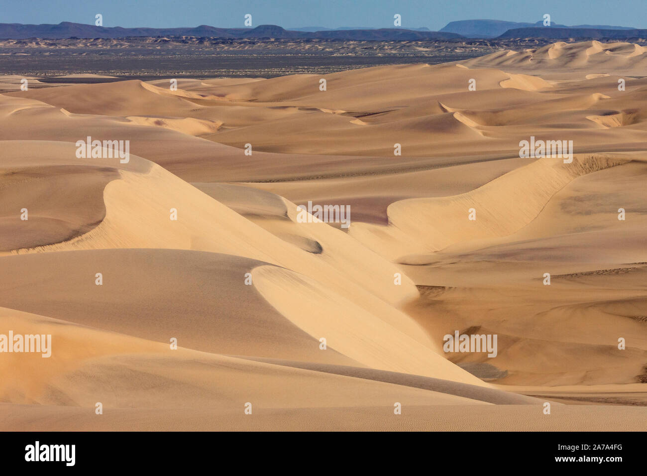 Sanddünen in der Wüste Namib in Namibia, Afrika. Stockfoto