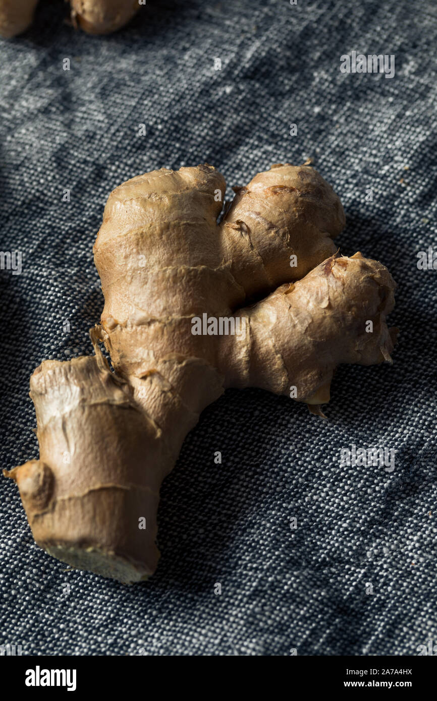 Raw Brown Organic würziger Ingwer Wurzel bereit zu Kochen Stockfoto