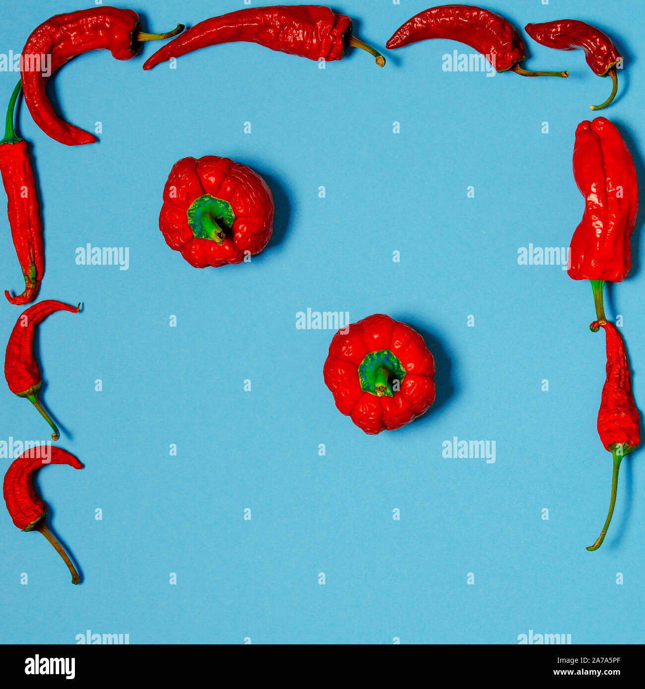 Getrocknete rote Chilischoten liegen auf einem farbigen Hintergrund Stockfoto