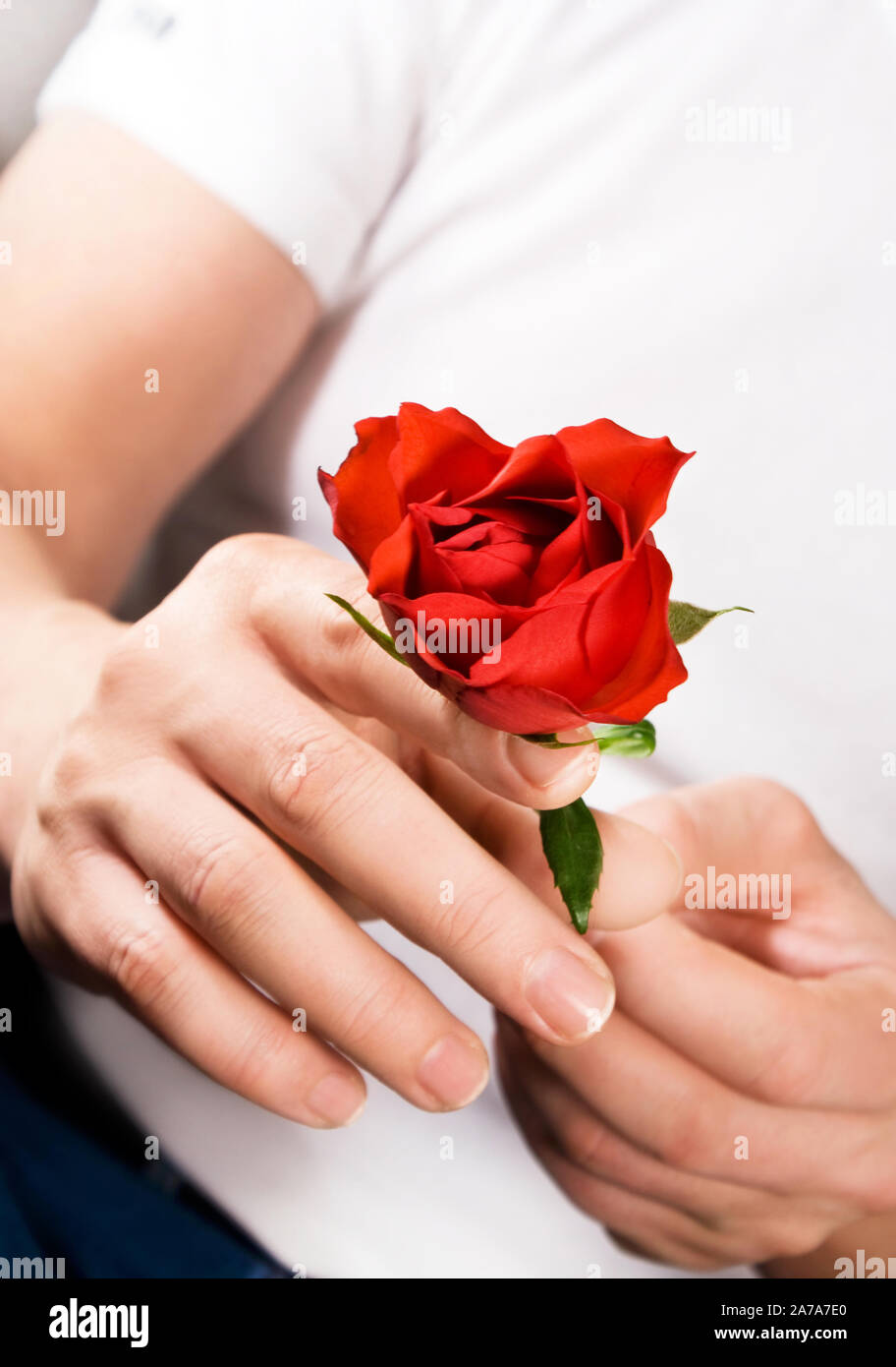 Mann mit roten Rose in der Hand Stockfoto