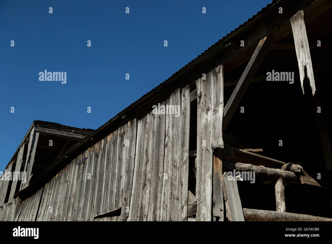 Alte Scheune in Unkräuter baufälligen Zustand sonnigen Tag tamworth Ontario Stockfoto