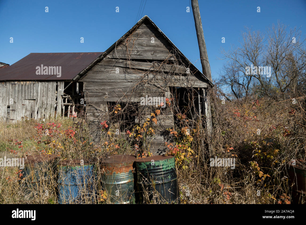 Alte Scheune in Unkräuter baufälligen Zustand sonnigen Tag tamworth Ontario Stockfoto