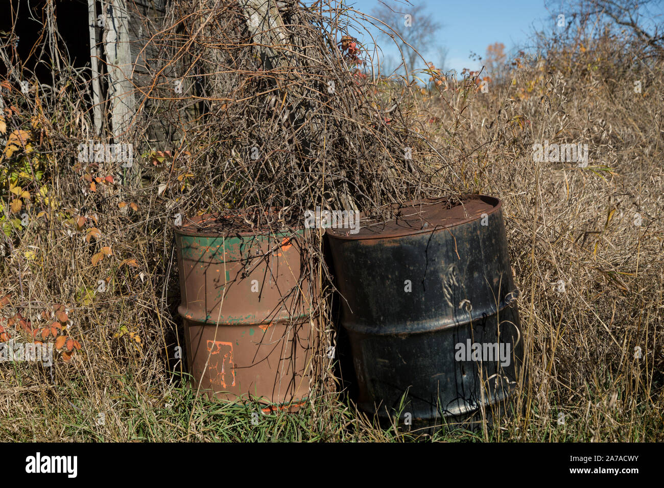 Rusty Maschinen in unkräuter Bauernhof sonnigen Tag tamworth Ontario Stockfoto