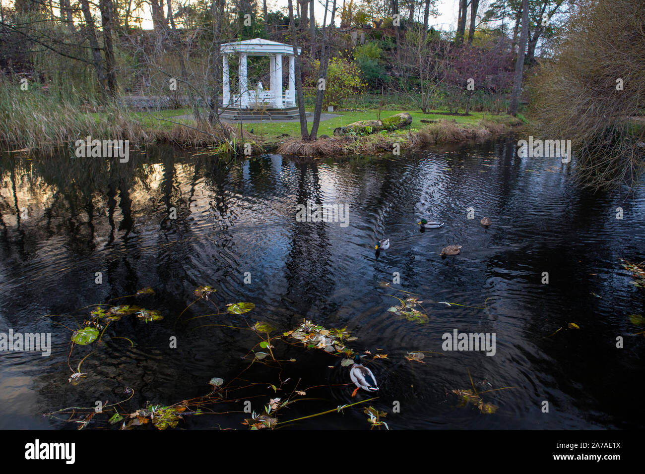 Teich im Botanischen Garten der Universität Tartu Stockfoto