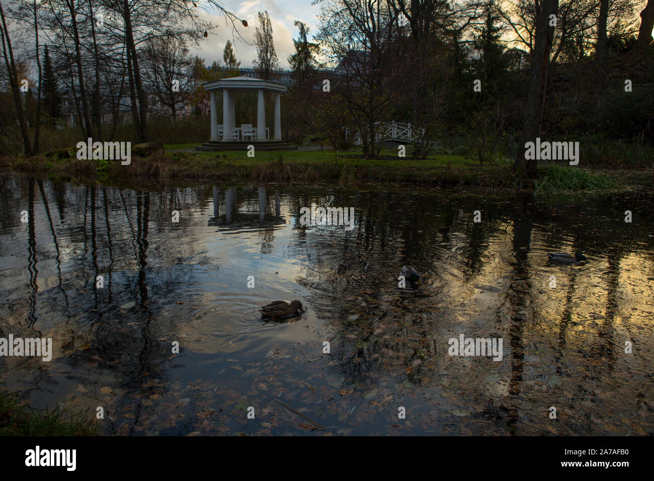 Teich im Botanischen Garten der Universität Tartu Stockfoto