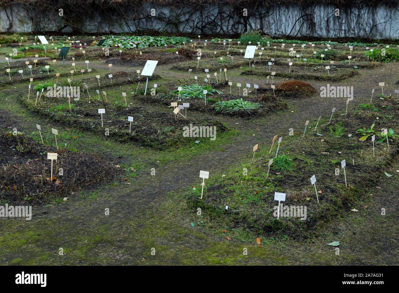 Tabletten in Tartu botanischen Graden Stockfoto