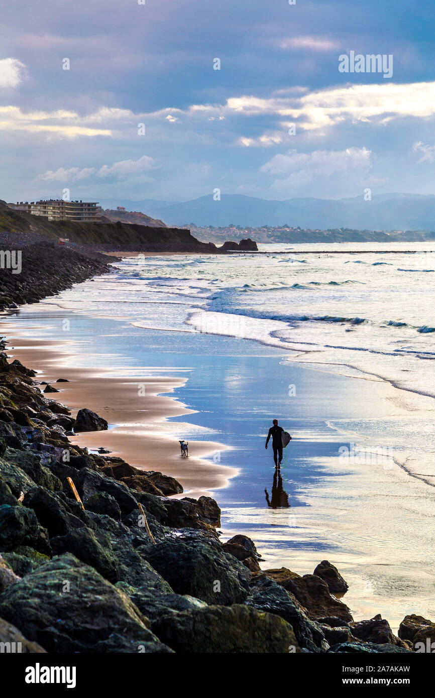 Surfer gehen mit einem Surfbrett und Hund bei Sonnenuntergang entlang der Côte des Basques Surfing Beach in Biarritz, Frankreich Stockfoto