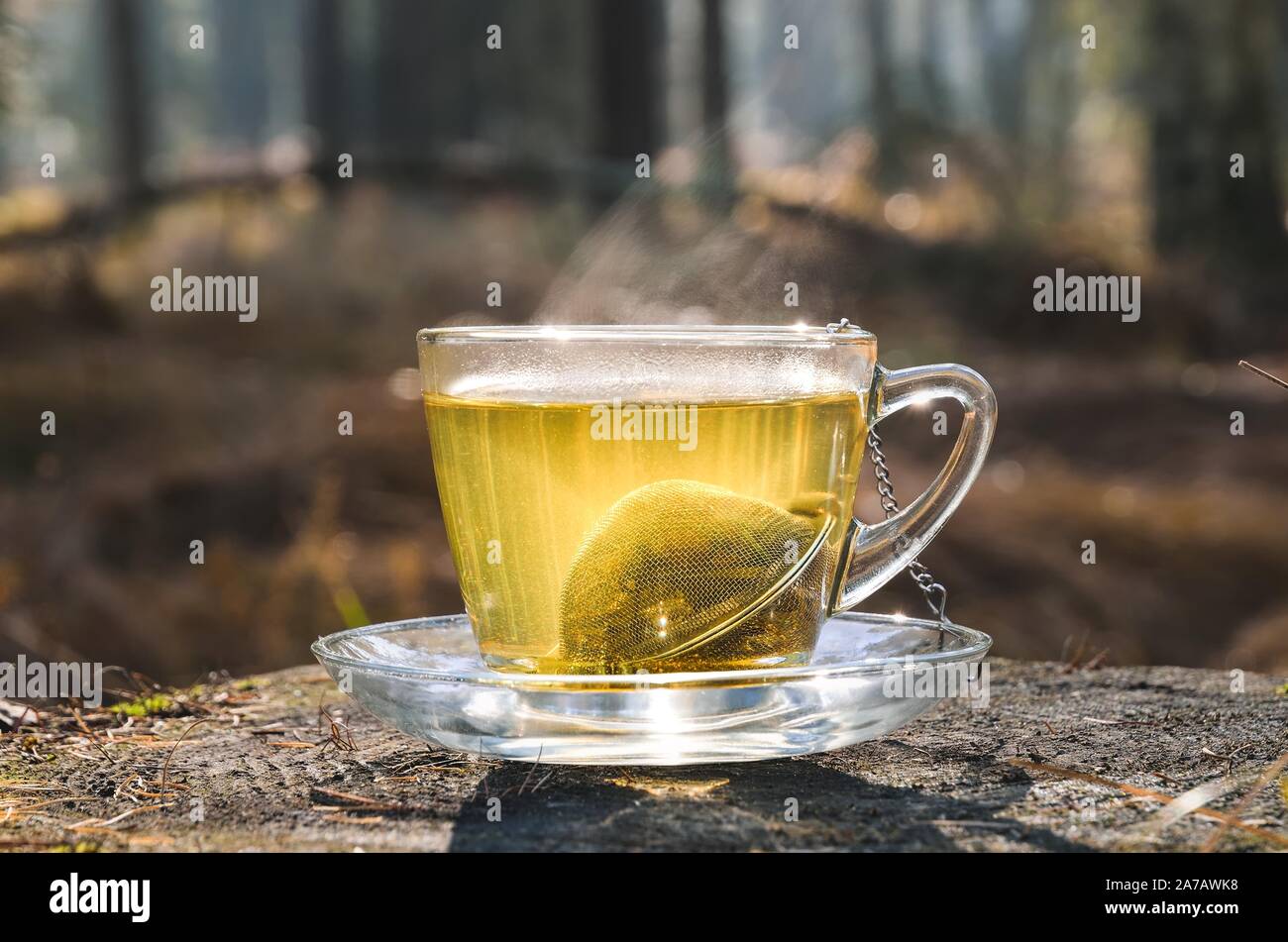 Interessante Idee für einen Herbst zu trinken. Kaffee mit kurkuma auf einem Baumstamm im Wald. Stockfoto