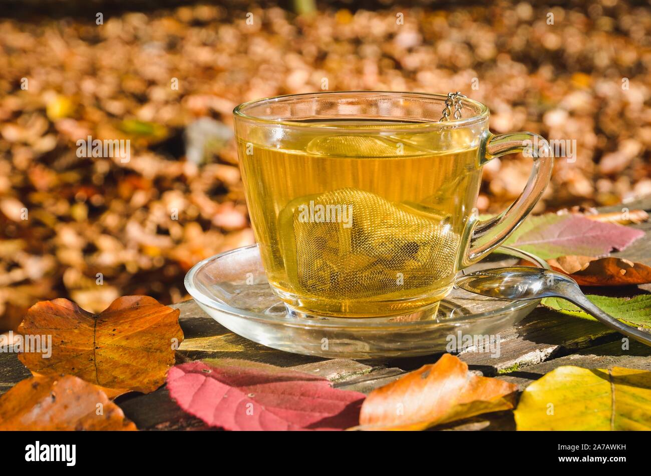 Interessante Idee für einen Herbst zu trinken. Kaffee mit Kurkuma in den Wald. Stockfoto