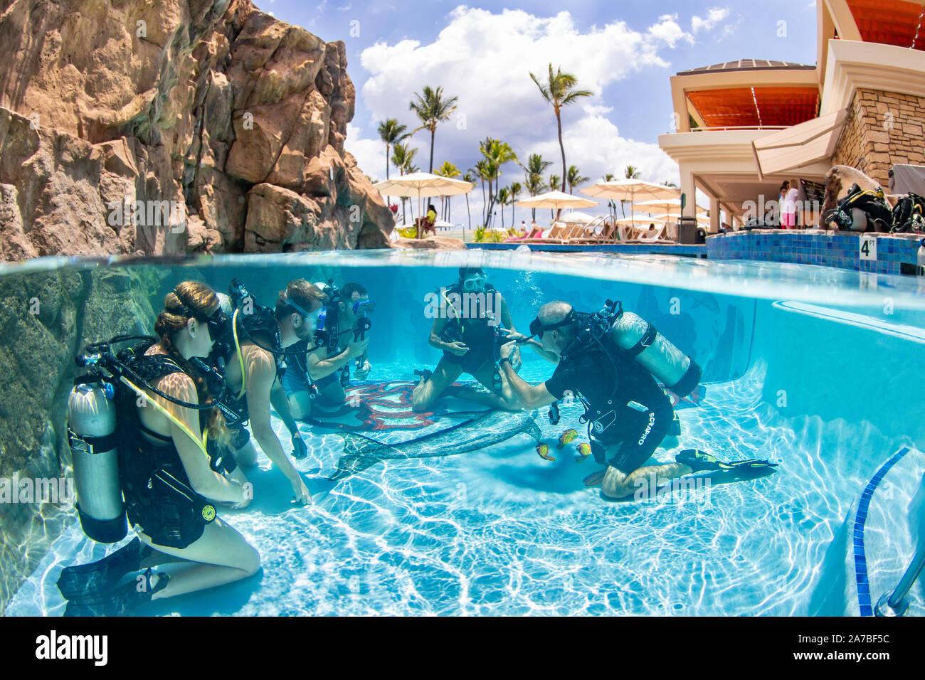 Tauchlehrer Anthony Manion Praktiken Fähigkeiten mit vier Studenten in einem Hotel Pool auf Maui, Hawaii. Alle fünf Personen sind Model Released. Stockfoto