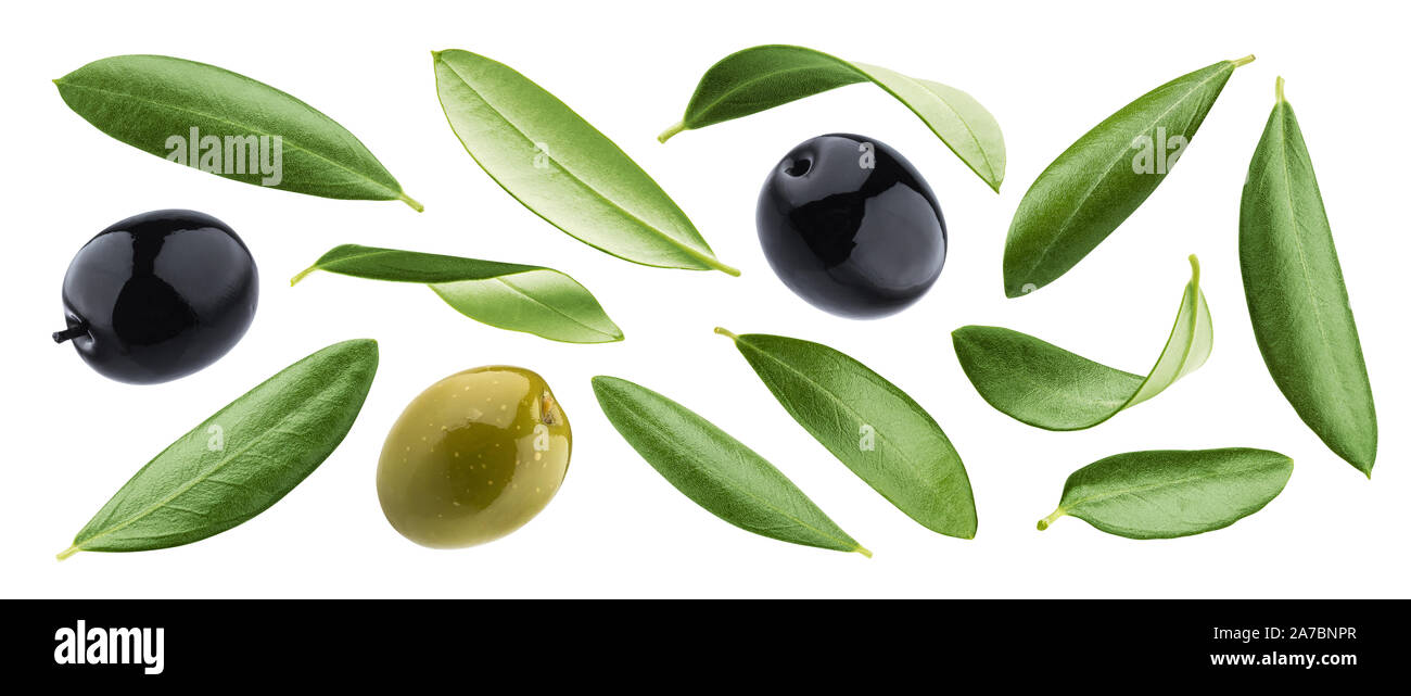 Schwarze und Grüne Oliven mit Blättern auf weißem Hintergrund Stockfoto