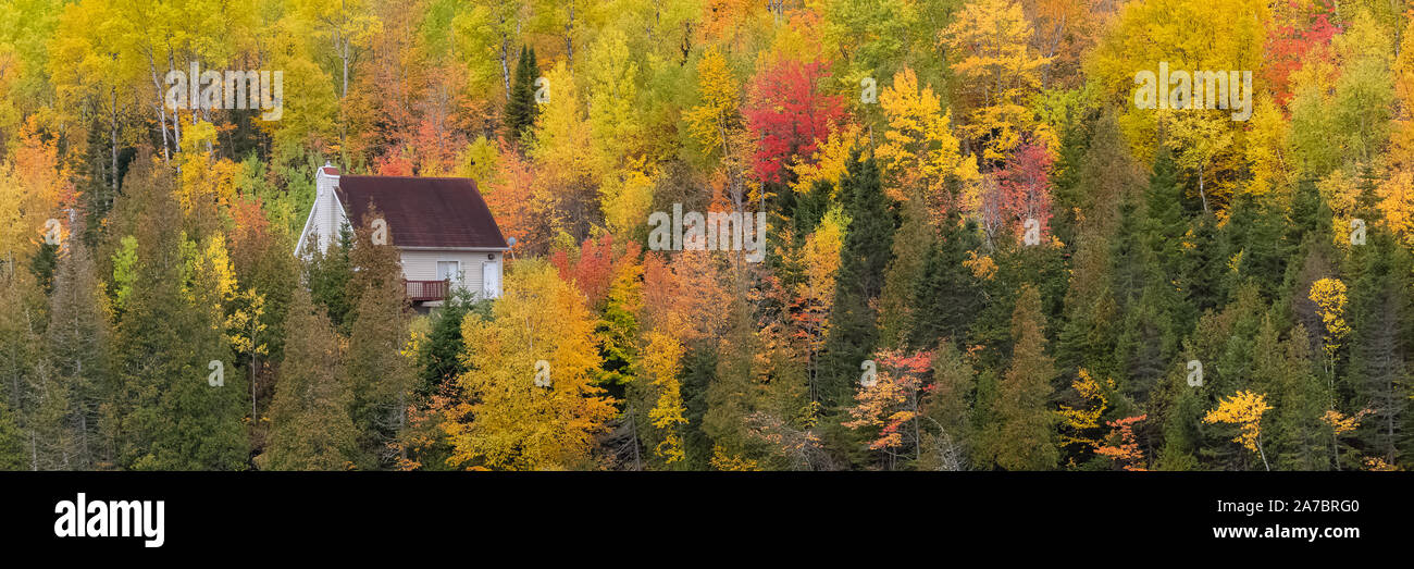 Haus im Wald am See in Kanada, im Herbst, schöne Farben der Bäume, der Reflexion auf dem Wasser Stockfoto