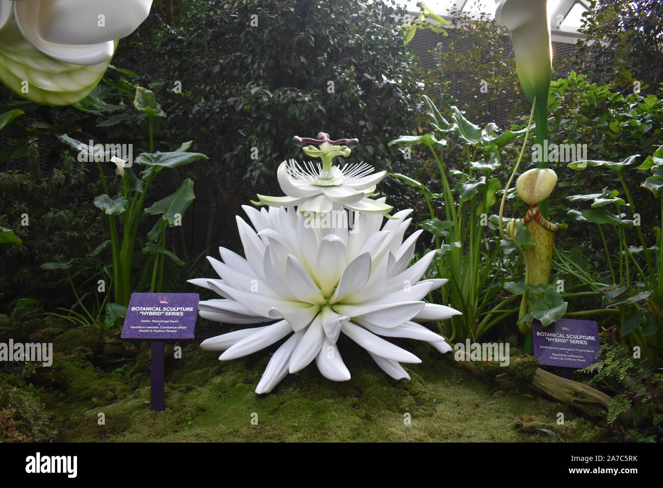 Blume Dome, Gärten an der Bucht, Singapur, Asien, 14. August 2019: Schöne und große Lotus white flower geformte Struktur Stockfoto
