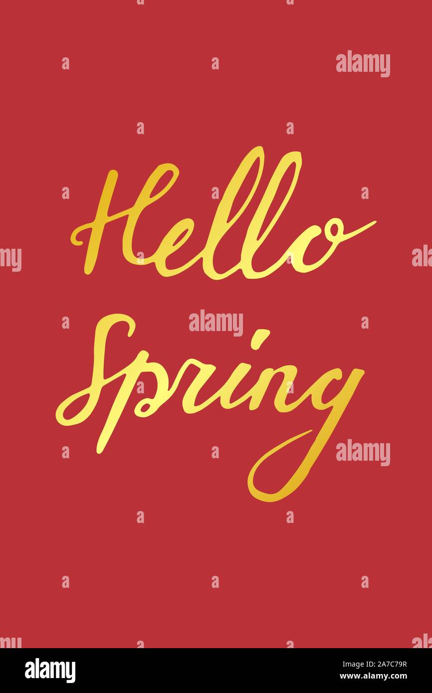 Hand Schriftzug Grußkarte mit Phrase Hallo Frühling in Gold auf rotem Hintergrund, Vektor Schriftzug. Stock Vektor
