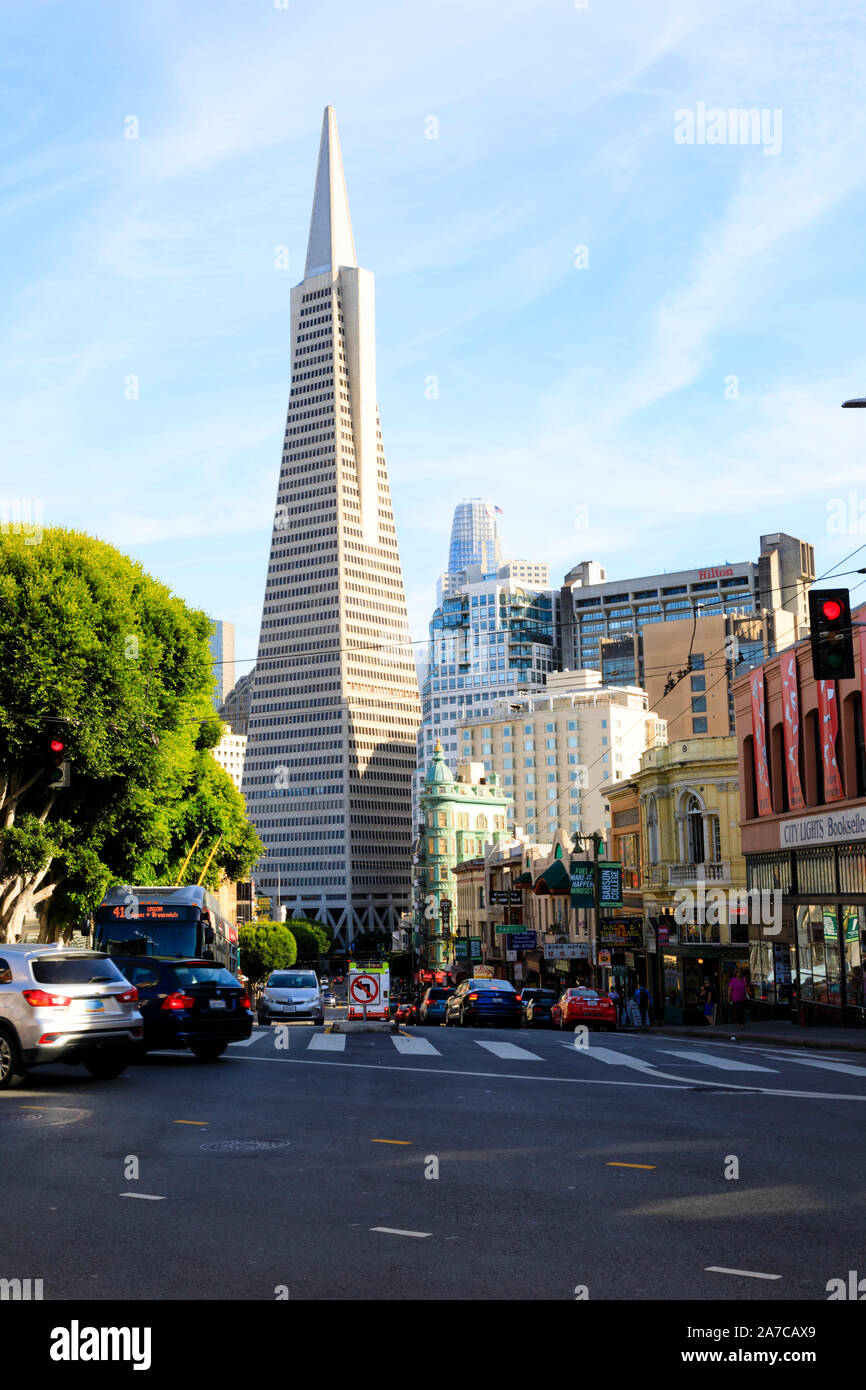 Die Transamerica Pyramid Wolkenkratzer im Finanzviertel von San Francisco, die an 600 Montgomery Street. Kalifornien, Vereinigte Staaten von Amerika. USA Stockfoto