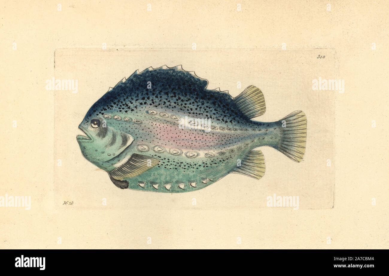 Exh Stockfotos Und -Bilder Kaufen - Alamy