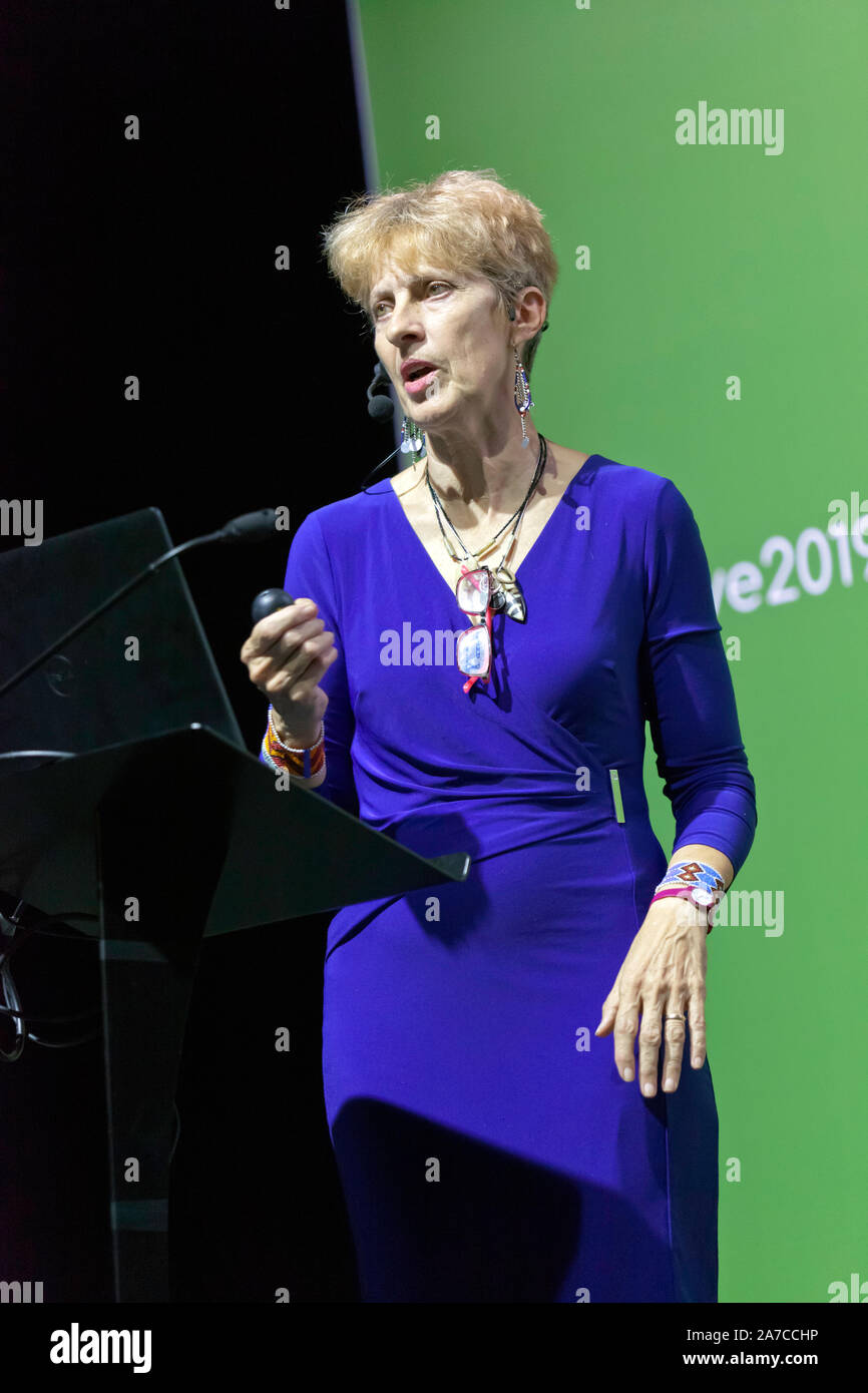 Jacqueline McGlade, Gresham Professor für Umwelt, Gresham College, einen Vortrag mit dem Titel "Warum unsere Kulturpflanzen giftig Drehen?', auf der Erde der Bühne, zu New Scientist Live 2019 Stockfoto