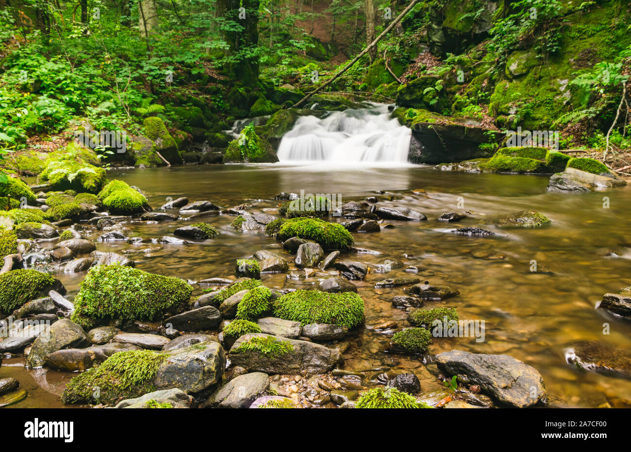 Landschaft der schönen Wasserfall tief im Wald. Stockfoto