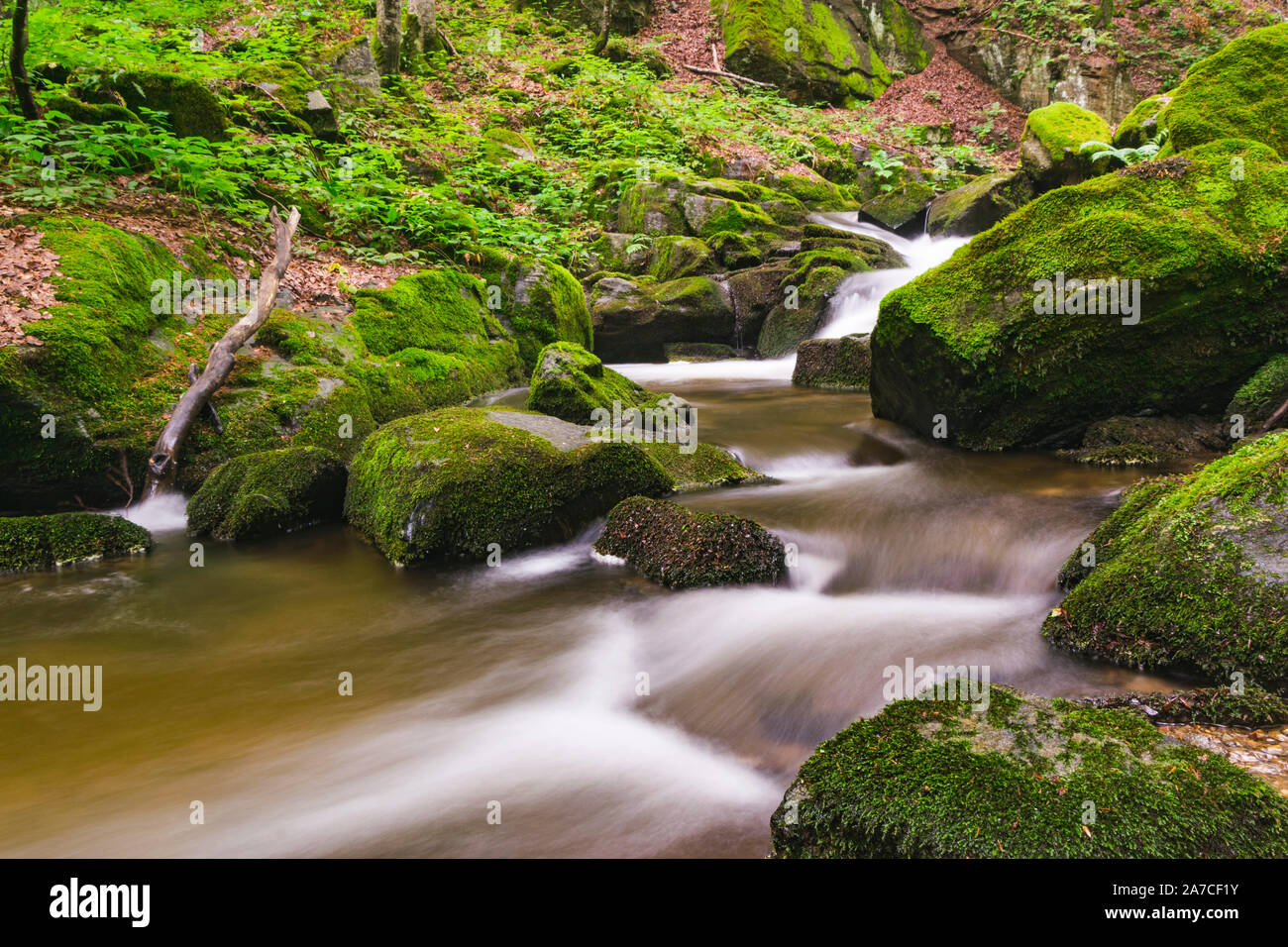 Landschaft der schönen Fluss tief im Wald. Stockfoto