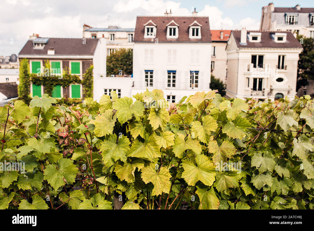 Weinberg Montmartre in Paris, mit Architektur anzeigen Stockfoto