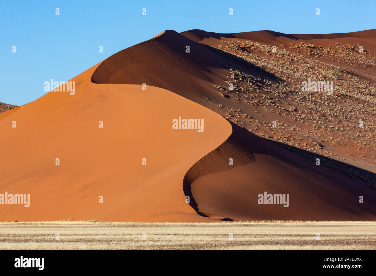 Große Düne in der Namib Wüste in der Namib - nuakluft National Park in der Nähe von Sossusvlei in Namibia, Afrika. Stockfoto