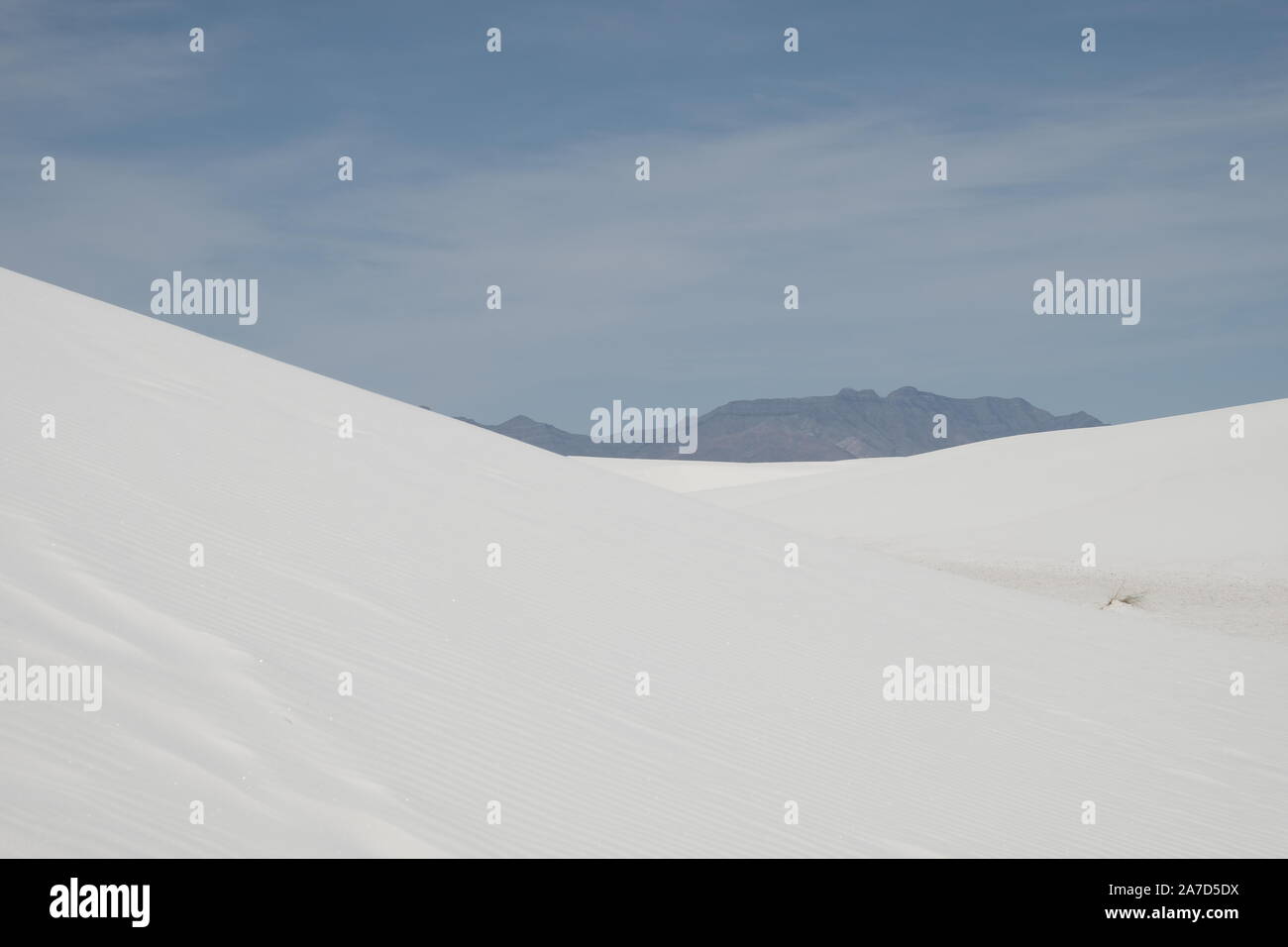 White Sands NM, USA Stockfoto