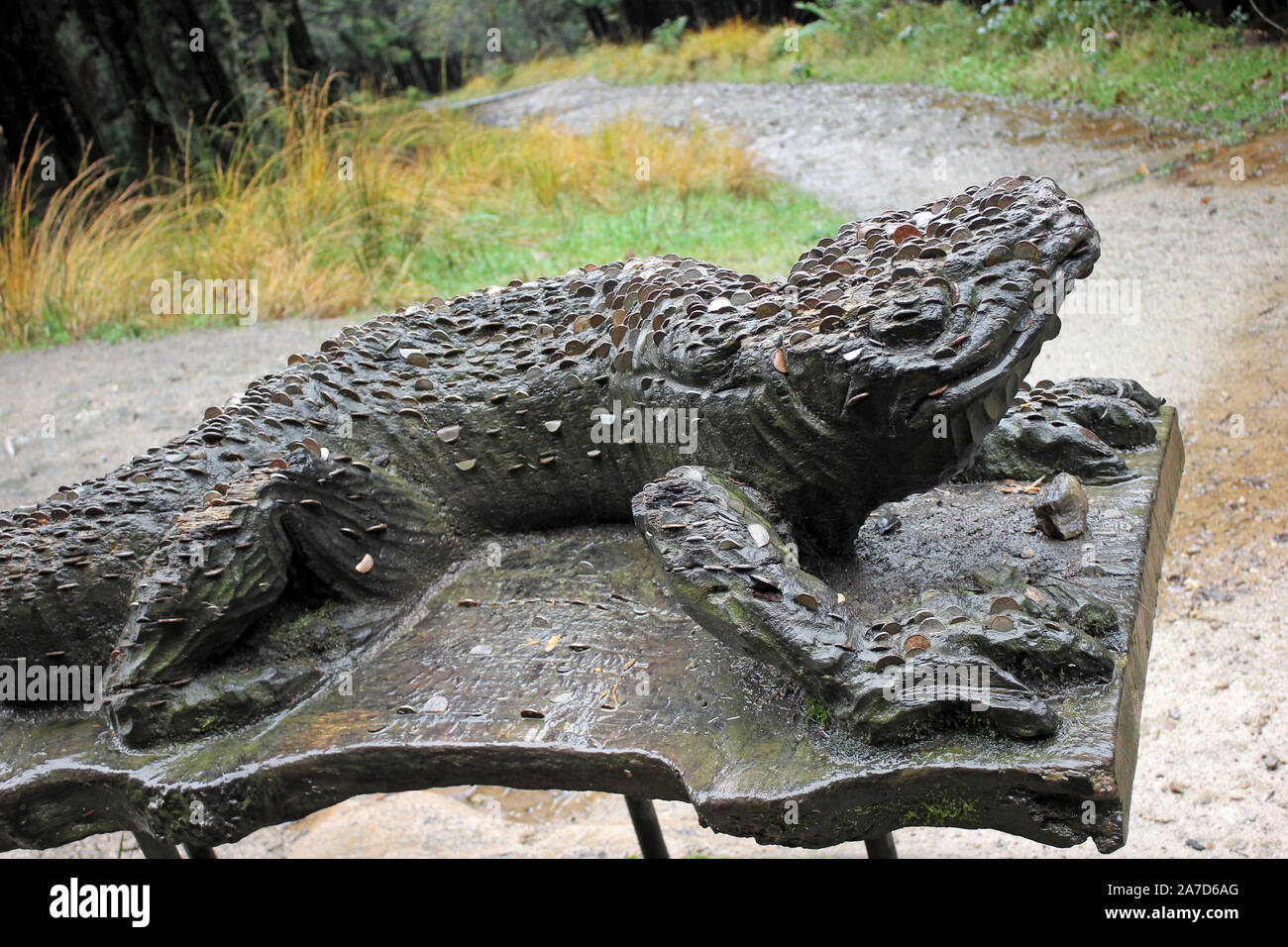 Lizard Skulptur Embedded mit Münzen, Rundumleuchte fiel Country Park, Lancashire, Großbritannien Stockfoto