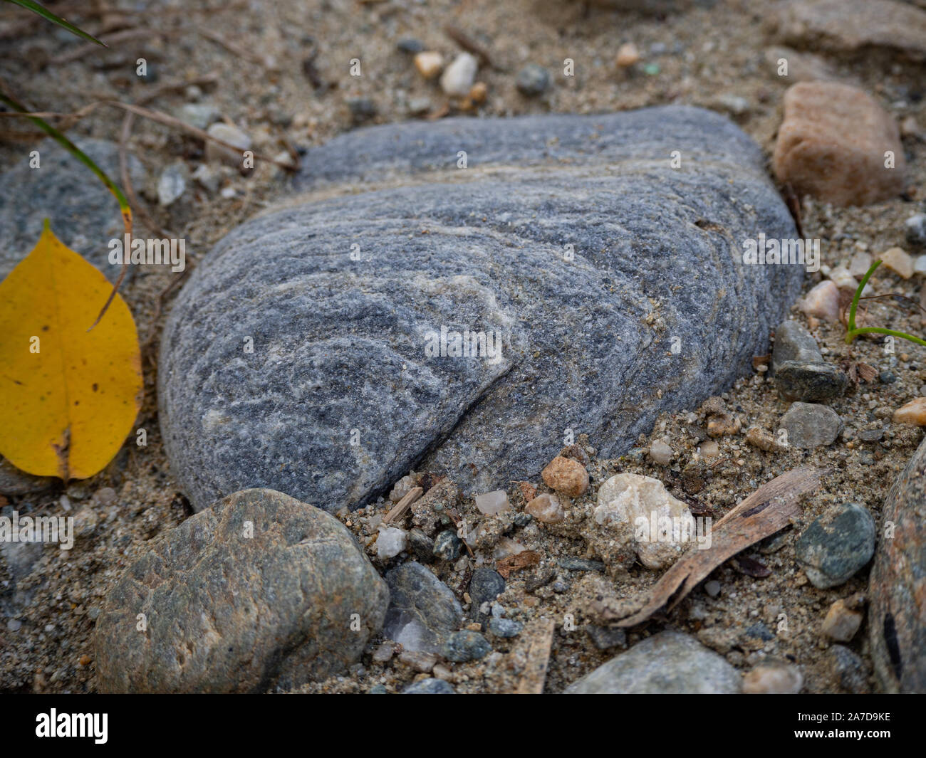 Grauen Stein auf einem sandigen Boden Stockfoto