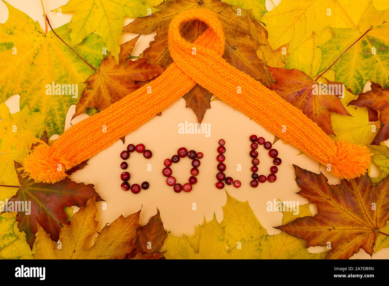 Blätter im Herbst, warme Schal und Text auf gelbem Hintergrund KALT Stockfoto