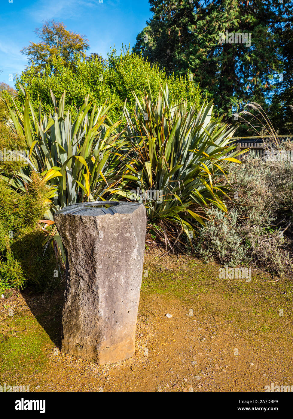 Die Neuseeländische Garten, Savill Garden, Windsor Great Park, Surrey, England, UK, GB. Stockfoto