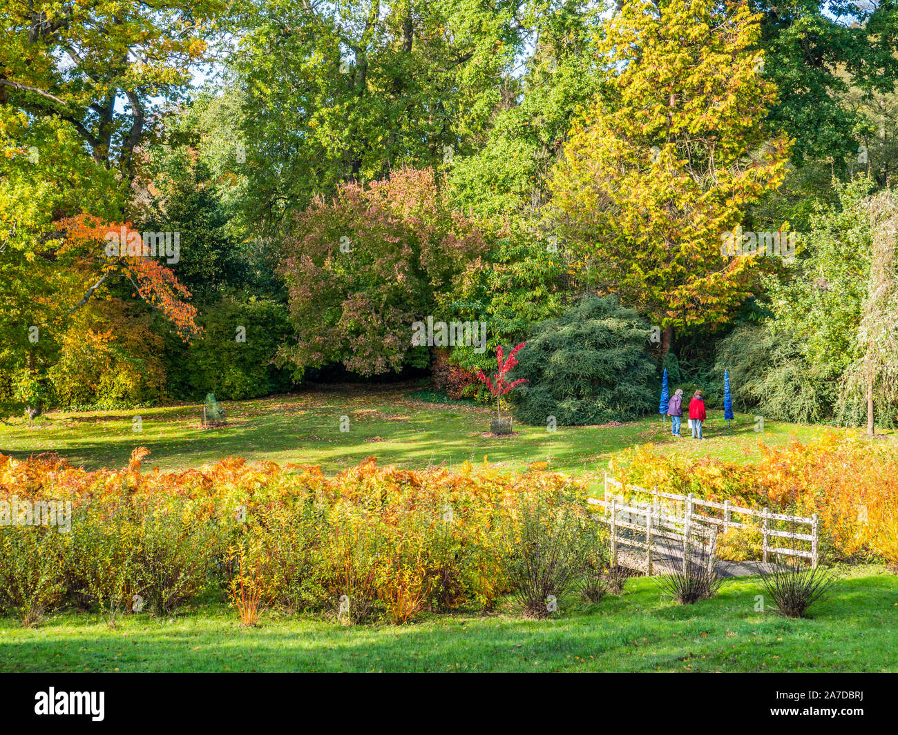 Herbst Landschaft, die versteckten Gärten, die savill Garden, Windsor Great Park, Surrey, England, UK, GB. Stockfoto