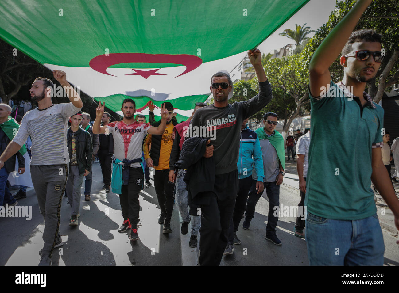 Algier, Algerien. 01 Nov, 2019. Algerier nehmen an einer Demonstration gegen die Regierung forderten die Absetzung von Beamten, die unter ex-Präsident Abdelaziz Bouteflika, wie sie der 65. Jahrestag des Landes der Kampf für Unabhängigkeit von Frankreich geprägt. Credit: Farouk Batiche/dpa/Alamy leben Nachrichten Stockfoto