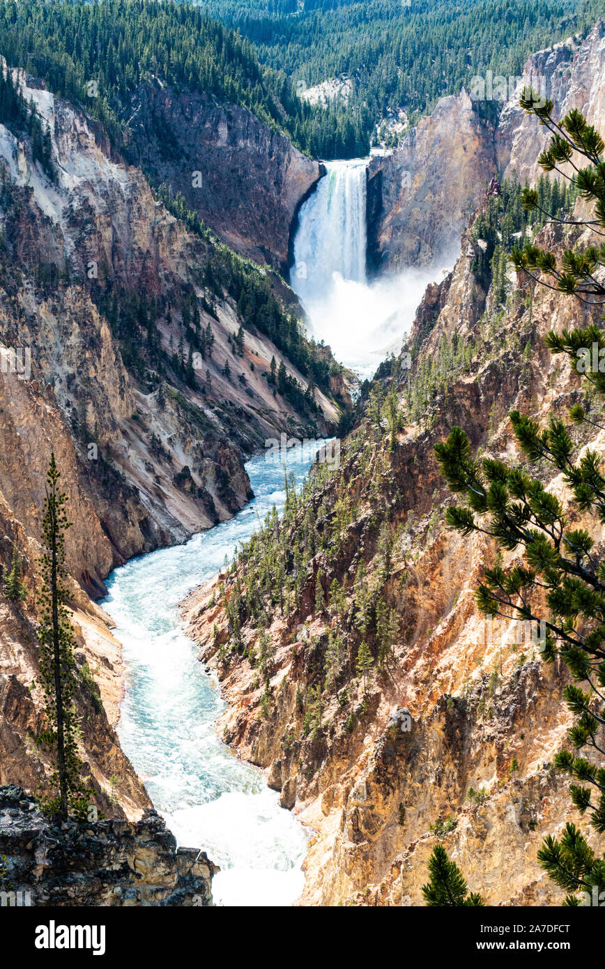 Yellowstone Canyon und fällt Stockfoto