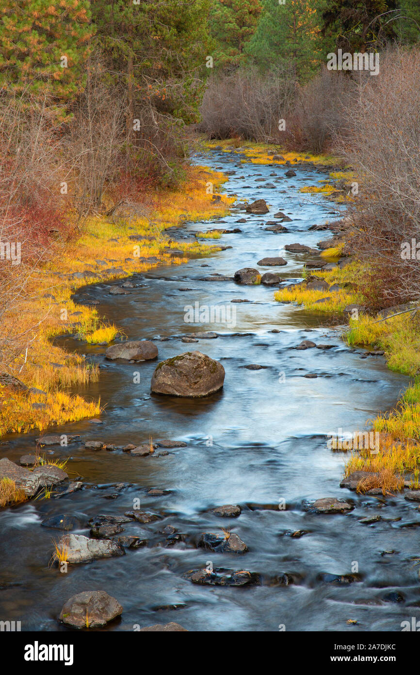 Deep Creek, Ochoco National Forest, Oregon Stockfoto