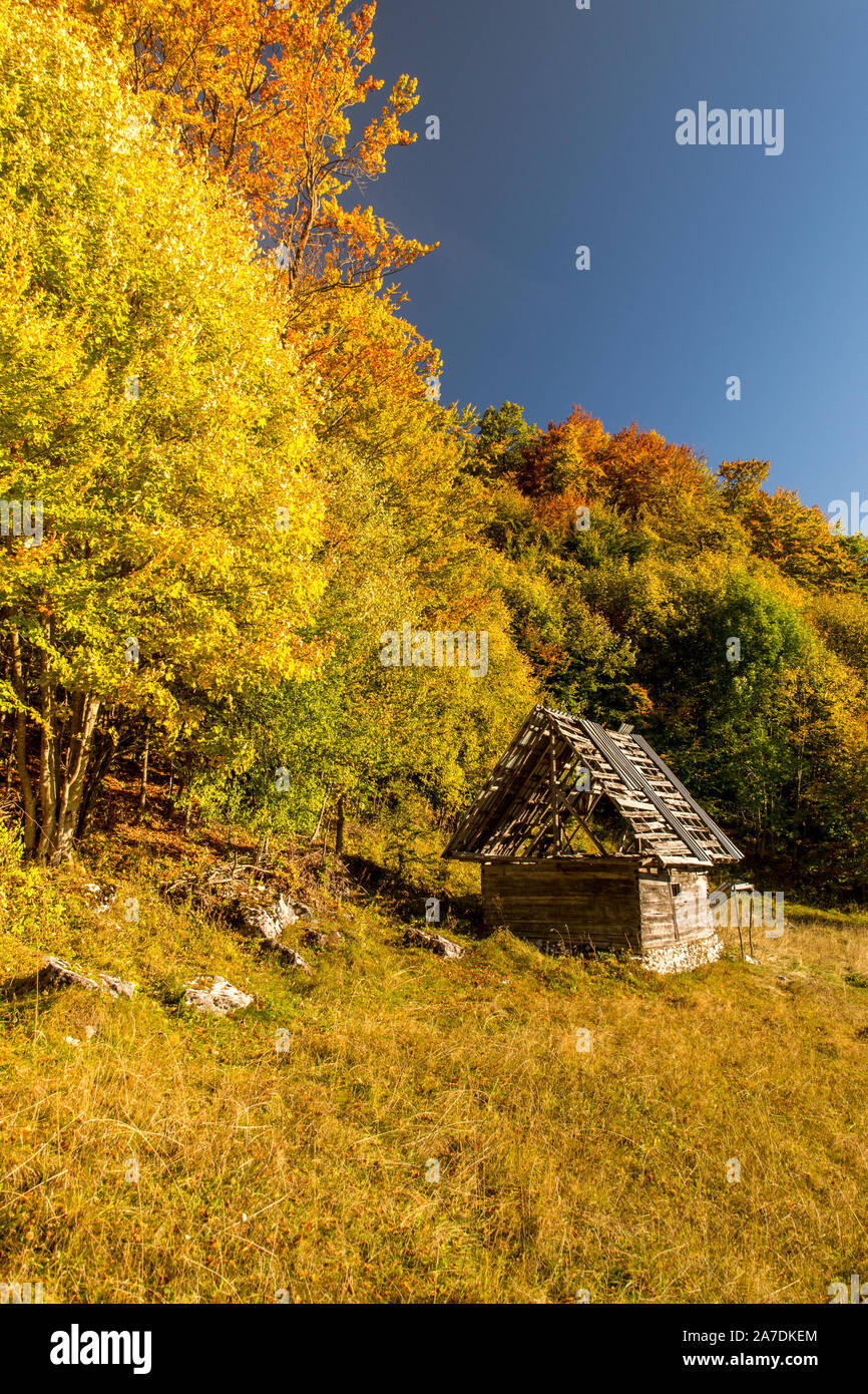 Idylle im Herbst Laub Farben in Rumänien - Bran Rucar Straße trasylvania Stockfoto