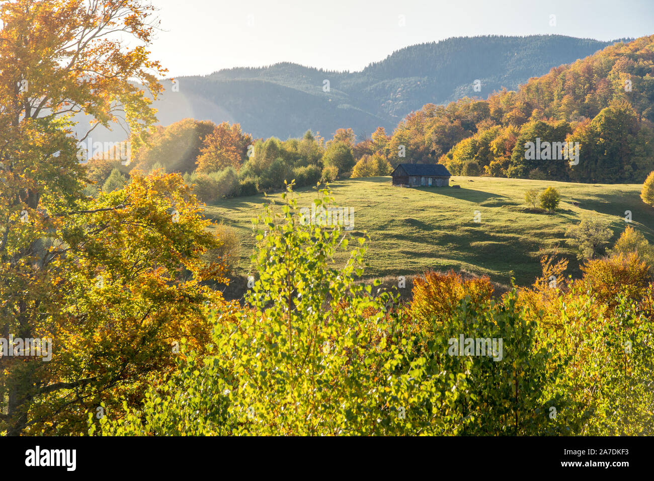 Idylle im Herbst Laub Farben in Rumänien - Bran Rucar Straße trasylvania Stockfoto