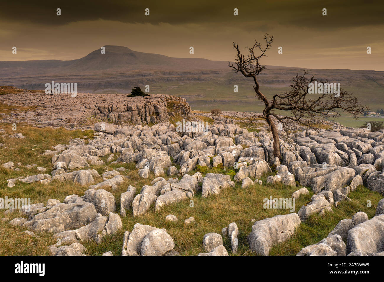 Narbe am Ende ist eine Siedlung an der Seite des Twistleton Narbe in der englischen Grafschaft North Yorkshire. Es ist von Ingleborough und Whernside 2 von umgeben Stockfoto