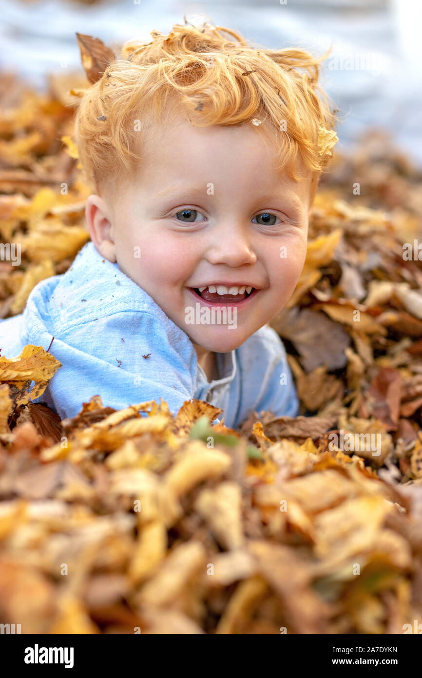 Portrait von glücklichen kleinen roten Haaren junge in der Mitte der bunten Blätter im Herbst liegen Stockfoto